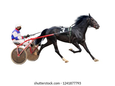 Horse Racing Jockey Race Isolated On White Background