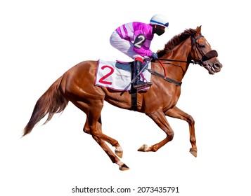 Horse Racing Jockey. Sport. Champion. Racetrack. Equestrian. Derby. Isolated On White Background