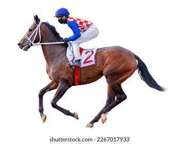 Horse racing jockey. Sport. Champion. Racetrack. Equestrian. Derby. Isolated on white background