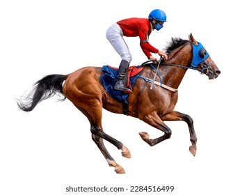 Horse racing jockey. Sport. Champion. Racetrack. Equestrian. Derby. Isolated on white background