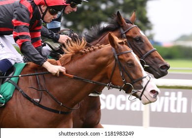 HORSE RACING - Photograph Finish Of Two Racehorses Passing Winning Post Together At Thirsk Races : Thirsk Racecourse, Nth Yorkshire, UK : 20 August 2018 