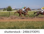 Horse racing at the racetrack. A horse led by a jockey. Horse riding competitions. A rider on a horse. Horses gallop along the racetrack track.