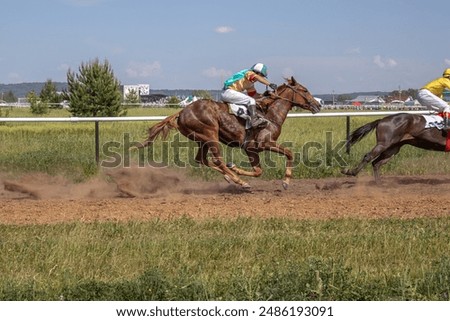 Horse racing at the racetrack. A horse led by a jockey. Horse riding competitions. A rider on a horse. Horses gallop along the racetrack track.