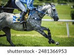 Horse racing. Thoroughbred racehorse with jockey in motion. Dapple gray horse running