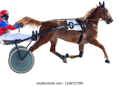 Horse Racing Winter Jockey Isolated On White Background