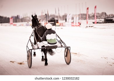 Horse Racing In The Winter On Ice