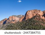 Horse Ranch Mountain in afternoon sunshine with tree covered debris hills below and a vibrant blue sky with one cloud above in Zion National Park, Utah.