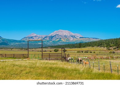 Horse Ranch On The Colorado Plateau