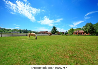 A horse ranch in Washington State, USA with horse eating at the pasture and the house in the background.