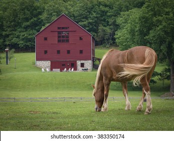 Horse And Red Barn, Hudson Valley, New York