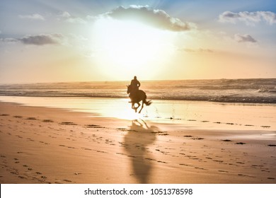 Horse Ride in front of the Sea in full Sunset, Moroccan coast, Casablanca, Morocco