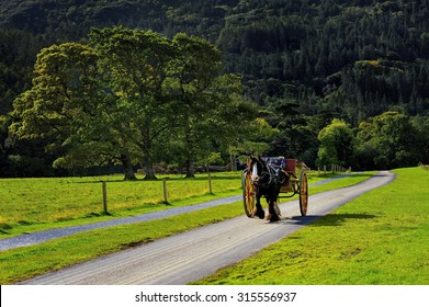 Horse ride in Killarney National Park, Ireland