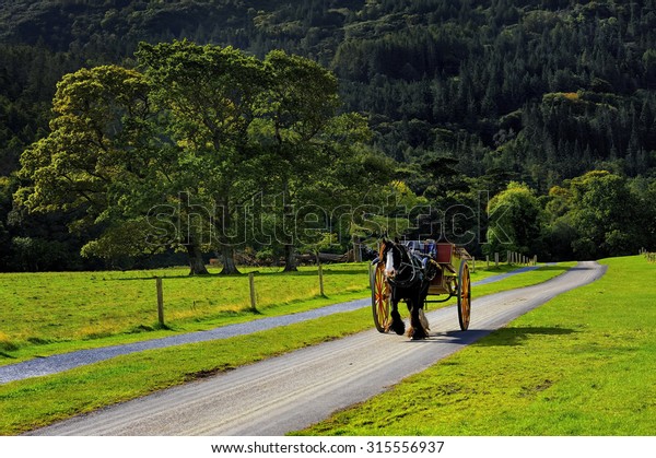 Horse Ride Killarney National Park Ireland Stock Photo Edit Now