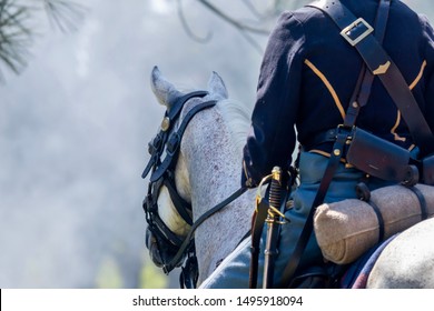  Horse and rider during the Civil War reenactment 