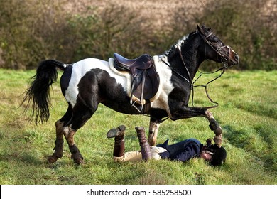 Horse Rider Falling Off Her Horse