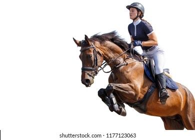 Horse Rider Girl Jumping Over An Obstacle Isolated On White Background. Show Jumping Competition Background