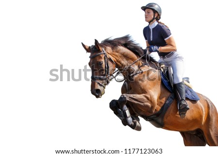 Horse rider girl jumping over an obstacle isolated on white background. Show jumping competition background