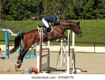 Horse With Rider Jumping Over Hurdle 