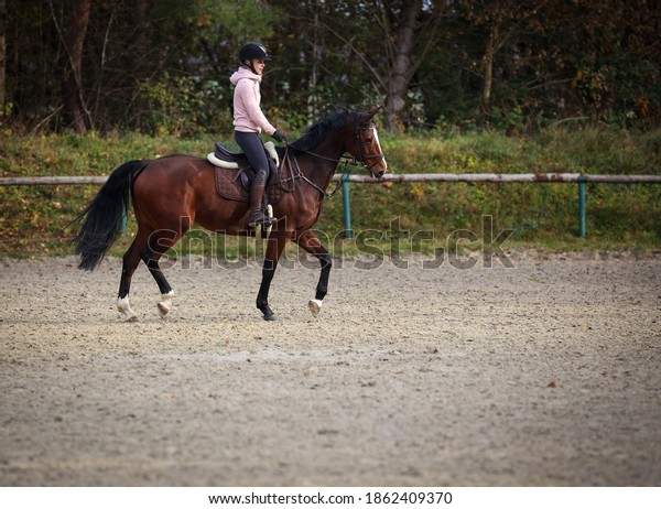 Horse with rider on the riding arena in the trot\
gait, in phase 4.\
