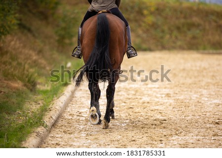 Horse with rider trotting on the riding arena, photographed from behind with a view of the hooves!
