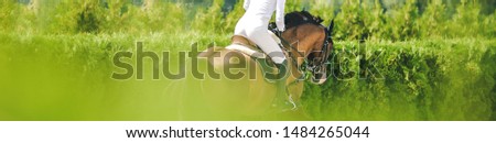 Horse and rider in uniform performing jump at show jumping competition. Horse horizontal banner for website header design. Equestrian sport background. Selective focus.