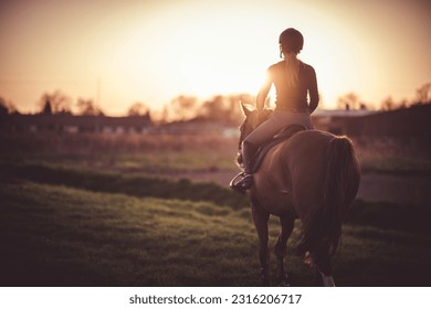 Horse and its rider walking towards sunset. Equestrian sport theme.