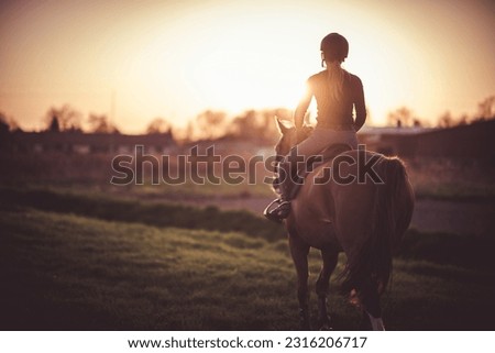 Horse and its rider walking towards sunset. Equestrian sport theme.