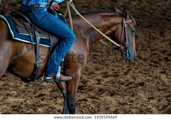 A horse and rider in a western style
equestrian cutting
competition