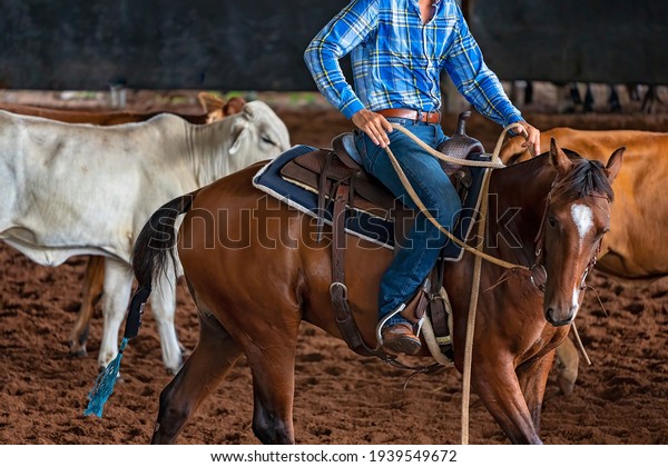 A horse and rider in a western style\
equestrian cutting\
competition