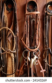 Horse riders complements, rigs, reins, leather over wood