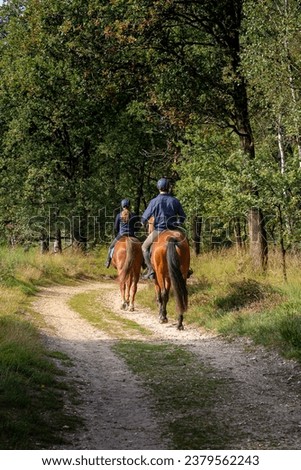 Horse riders in the forest path of Meinweg Natural park, in the Netherlands