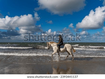 Horse riding along the beach