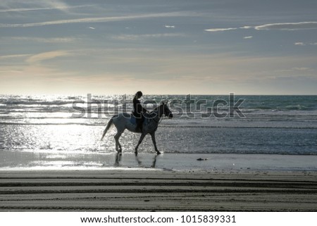 Horse riding at the Beach