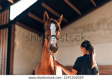 horse at the riding center with an instructor