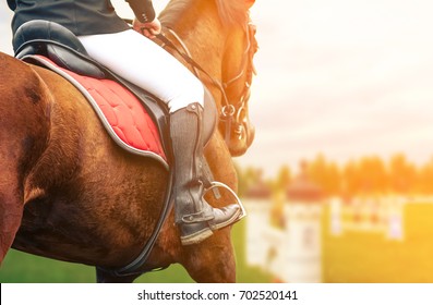 Horse riding closeup on show jumping field, toned image