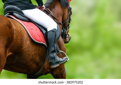 Horse Riding Closeup Summer Season Stock Photo 582975202 | Shutterstock