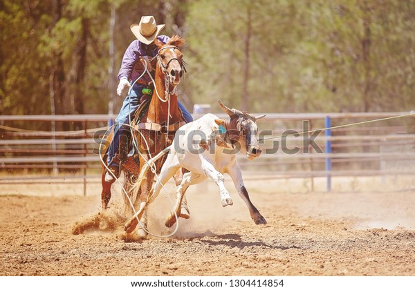 Horse riding cowboy\
lassoing a running calf in a rodeo roping competition in an\
Australian country town