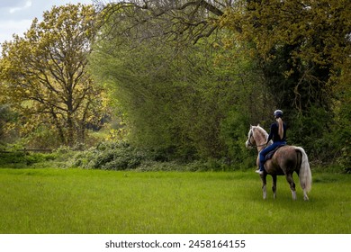 Horse riding in the meadow, Image shows a beautiful young girl in her 20's riding her section D Welsh cob palomino stallion admiring the scenery on a sunny day just as the sun begins to set - Powered by Shutterstock