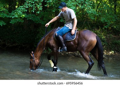 5,039 Horse riding river Images, Stock Photos & Vectors | Shutterstock