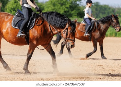 Horse riding school. Little children girls at group training equestrian lessons at outdoors ranch horse riding yard. Cute little beginner blond girl kid near beautiful brown horse - Powered by Shutterstock