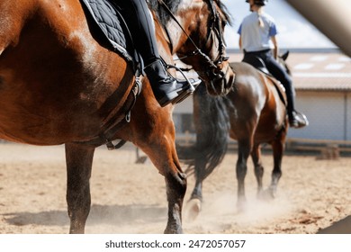 Horse riding school. Little children girls at group training equestrian lessons at outdoors ranch horse riding yard. Cute little beginner kid, closeup feet leg chestnut brown horse - Powered by Shutterstock