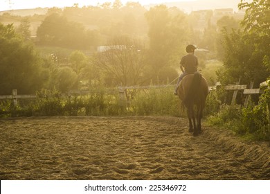 Horse Riding Silhouette