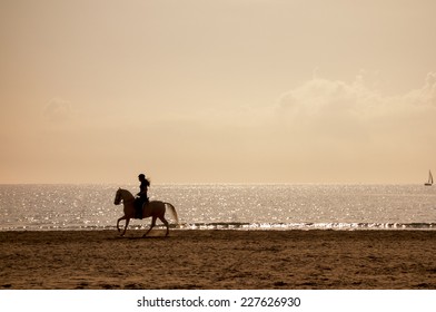 7,678 Horseback riding on the beach Images, Stock Photos & Vectors ...