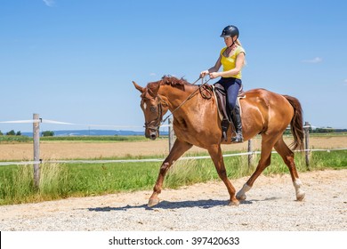 Horse Riding Sitting Trot