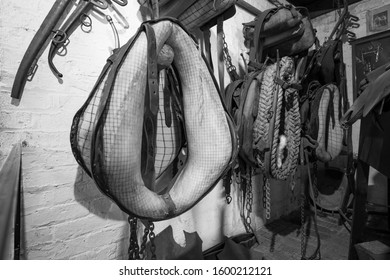 Horse Riding Tack Room Image