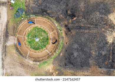 Horse Riding, Top View, Horse Training In The Field, Horse Training