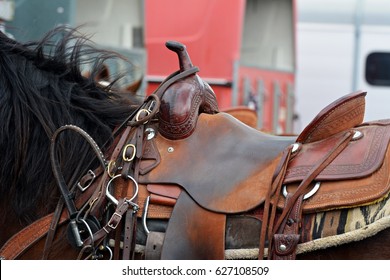 Horse Saddle