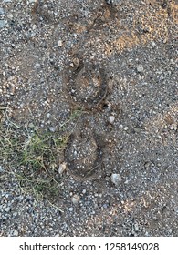 Horse Shoe Tracks In Sand In Arizona Desert