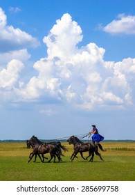 Horse Show In The Hungarian Puszta