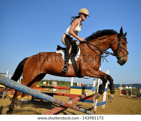 Similar – Image, Stock Photo Show jumper Show jumping